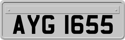 AYG1655
