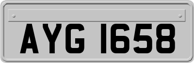 AYG1658