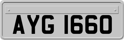 AYG1660