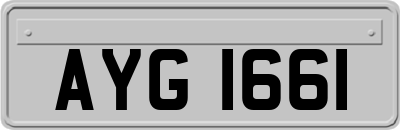 AYG1661