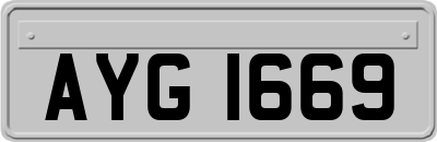 AYG1669