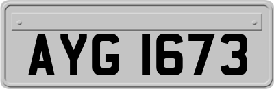 AYG1673