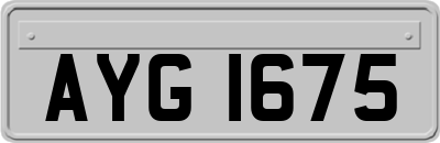 AYG1675