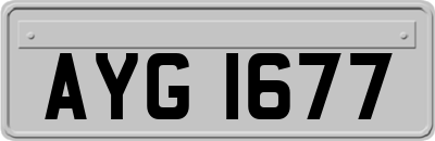 AYG1677