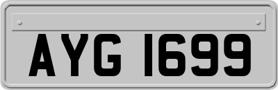 AYG1699