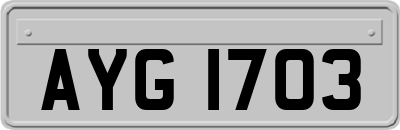 AYG1703