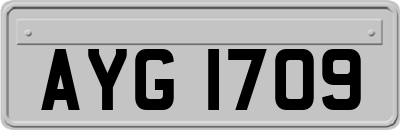 AYG1709