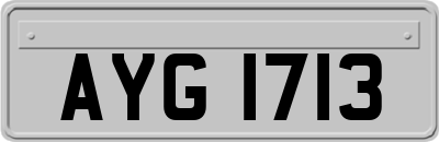 AYG1713