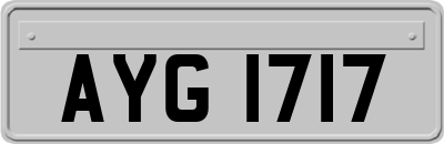 AYG1717