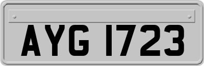 AYG1723