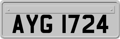 AYG1724