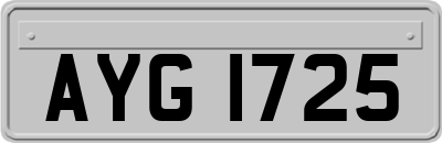 AYG1725