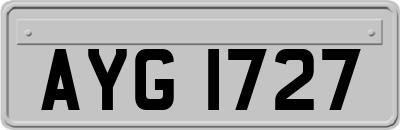 AYG1727