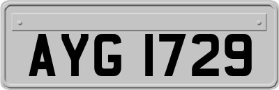 AYG1729