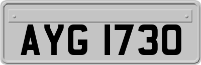 AYG1730