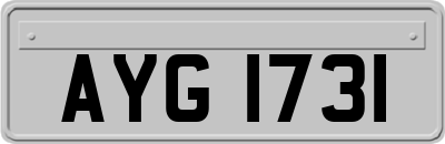 AYG1731