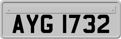 AYG1732