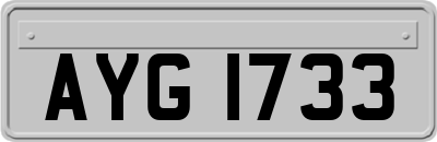 AYG1733
