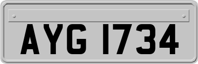 AYG1734