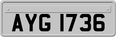 AYG1736