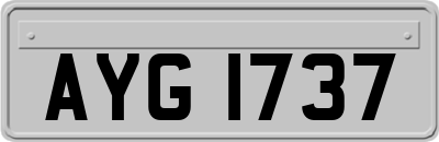 AYG1737