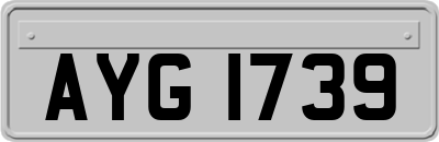 AYG1739
