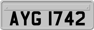 AYG1742