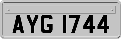 AYG1744