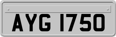AYG1750