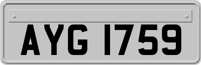 AYG1759