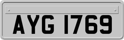 AYG1769