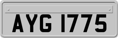 AYG1775