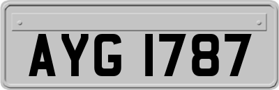 AYG1787