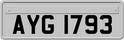 AYG1793