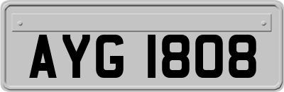 AYG1808