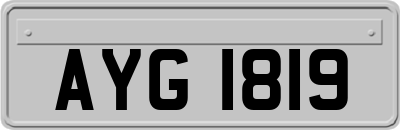 AYG1819