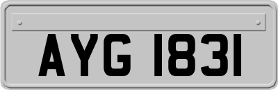 AYG1831