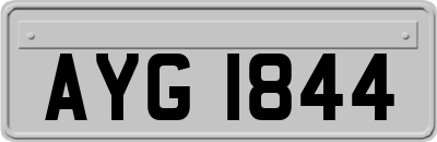 AYG1844