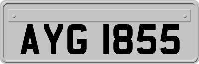AYG1855