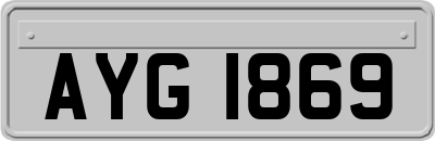 AYG1869