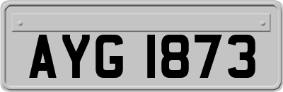 AYG1873