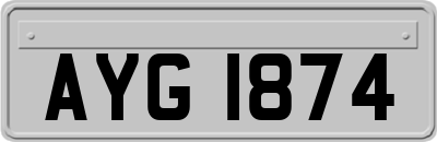 AYG1874