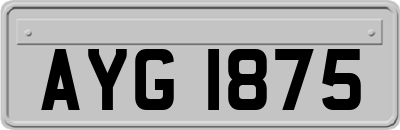 AYG1875