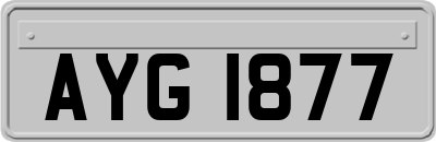 AYG1877