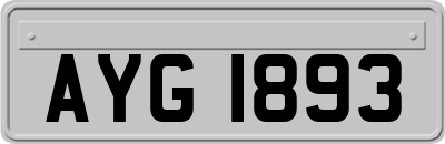 AYG1893