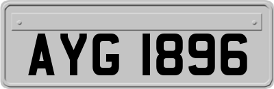 AYG1896