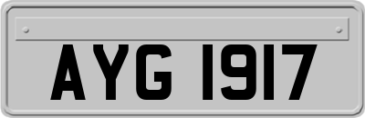 AYG1917