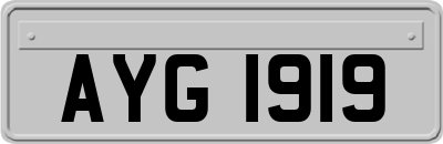 AYG1919