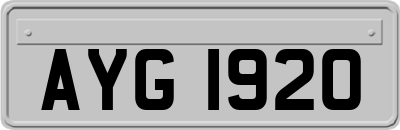 AYG1920
