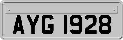 AYG1928